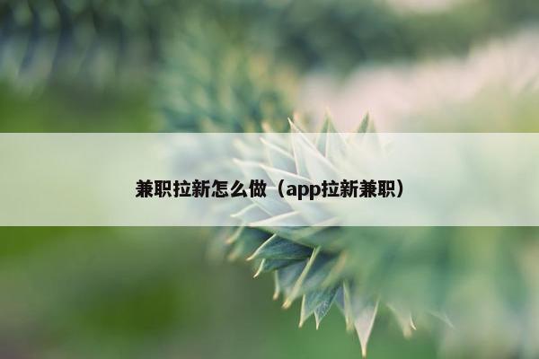 兼职拉新怎么做（app拉新兼职）