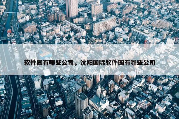 软件园有哪些公司，沈阳国际软件园有哪些公司