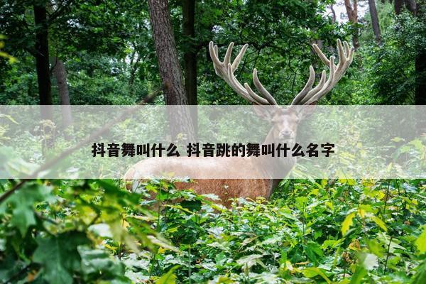 抖音舞叫什么 抖音跳的舞叫什么名字