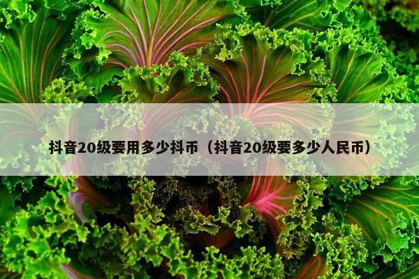 抖音20级要用多少抖币（抖音20级要多少人民币）