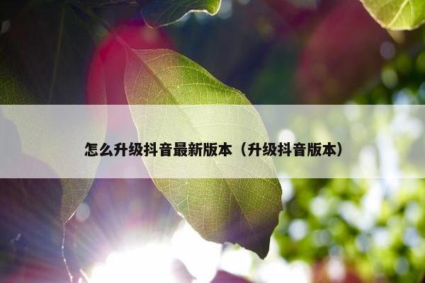 怎么升级抖音最新版本（升级抖音版本）