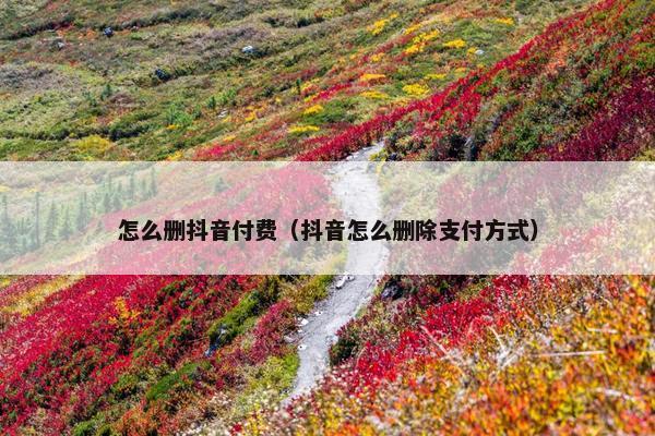 怎么删抖音付费（抖音怎么删除支付方式）