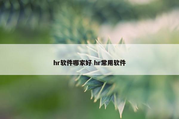 hr软件哪家好 hr常用软件