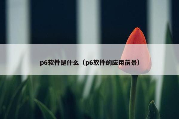 p6软件是什么（p6软件的应用前景）