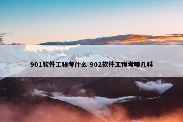 901软件工程考什么 902软件工程考哪几科