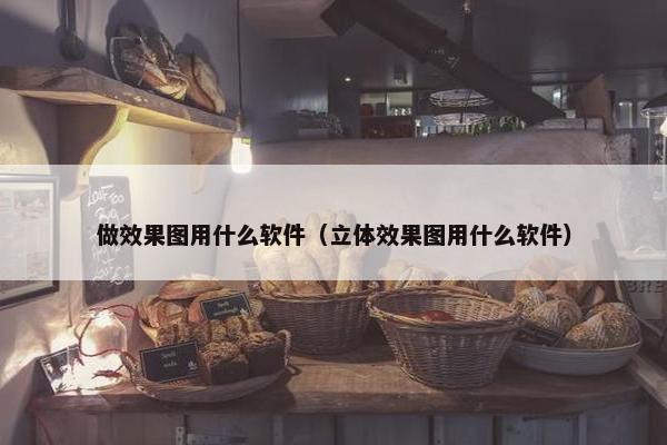 做效果图用什么软件（立体效果图用什么软件）