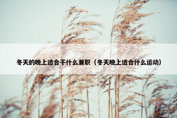 冬天的晚上适合干什么兼职（冬天晚上适合什么运动）