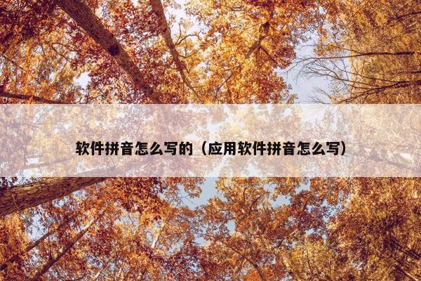 软件拼音怎么写的（应用软件拼音怎么写）