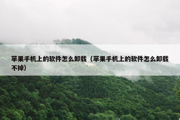 苹果手机上的软件怎么卸载（苹果手机上的软件怎么卸载不掉）