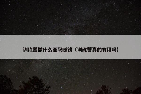 训练营做什么兼职赚钱（训练营真的有用吗）