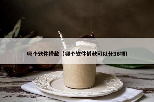 哪个软件借款（哪个软件借款可以分36期）