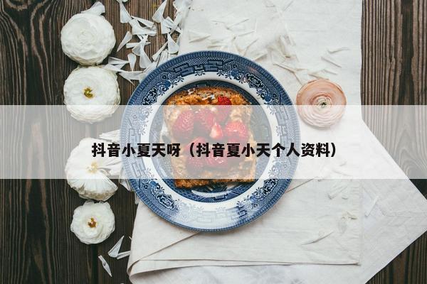 抖音小夏天呀（抖音夏小天个人资料）