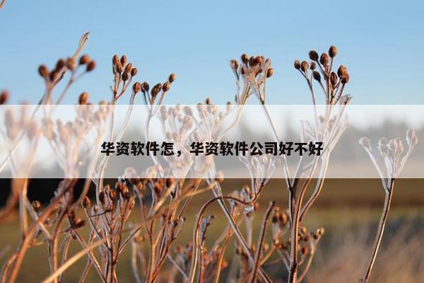 华资软件怎，华资软件公司好不好