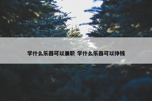 学什么乐器可以兼职 学什么乐器可以挣钱