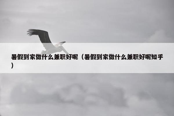 暑假到家做什么兼职好呢（暑假到家做什么兼职好呢知乎）