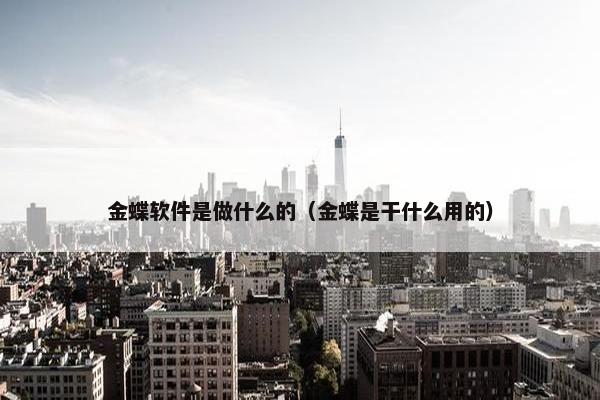 金蝶软件是做什么的（金蝶是干什么用的）