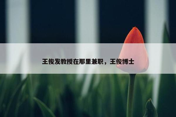 王俊发教授在那里兼职，王俊博士