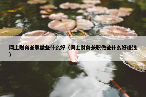 网上财务兼职做些什么好（网上财务兼职做些什么好赚钱）