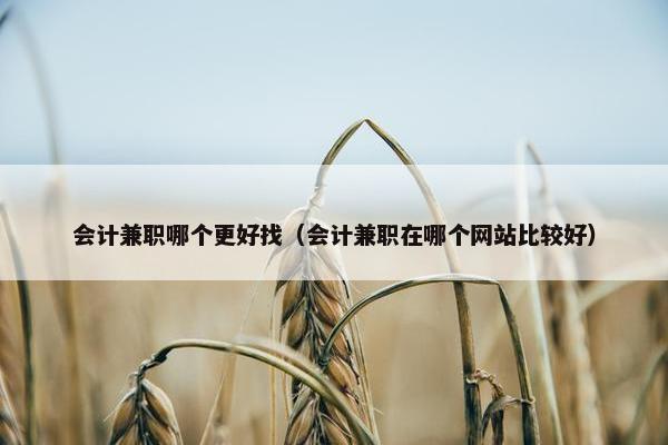 会计兼职哪个更好找（会计兼职在哪个网站比较好）