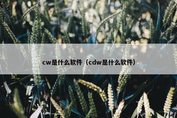 cw是什么软件（cdw是什么软件）