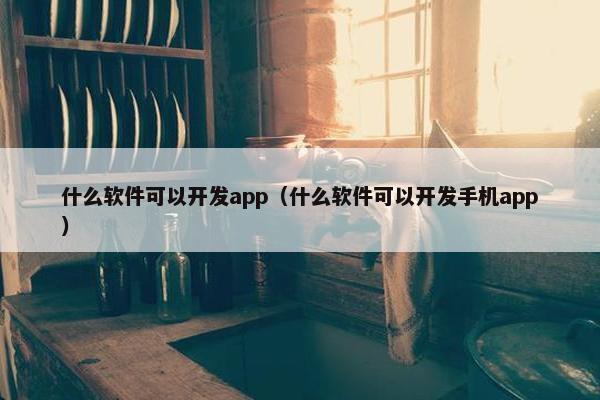 什么软件可以开发app（什么软件可以开发手机app）