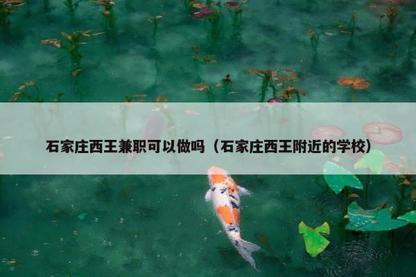 石家庄西王兼职可以做吗（石家庄西王附近的学校）