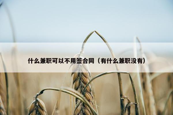 什么兼职可以不用签合同（有什么兼职没有）