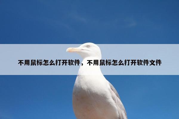 不用鼠标怎么打开软件，不用鼠标怎么打开软件文件