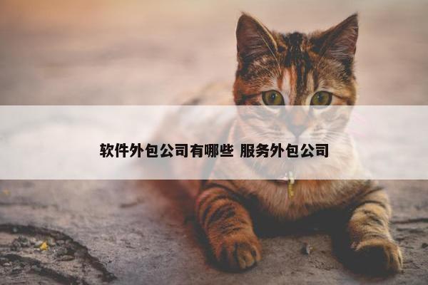 软件外包公司有哪些 服务外包公司