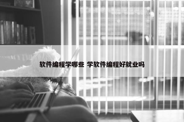 软件编程学哪些 学软件编程好就业吗