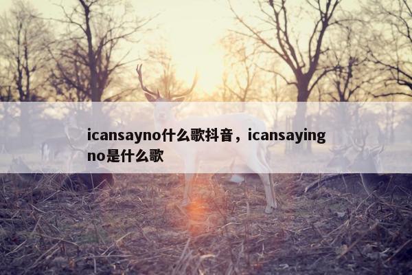 icansayno什么歌抖音，icansayingno是什么歌