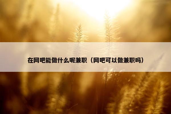 在网吧能做什么呢兼职（网吧可以做兼职吗）