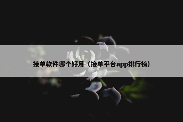 接单软件哪个好用（接单平台app排行榜）