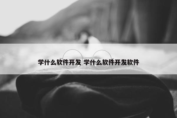 学什么软件开发 学什么软件开发软件