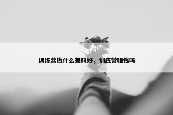 训练营做什么兼职好，训练营赚钱吗