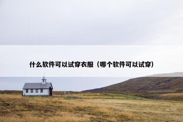 什么软件可以试穿衣服（哪个软件可以试穿）