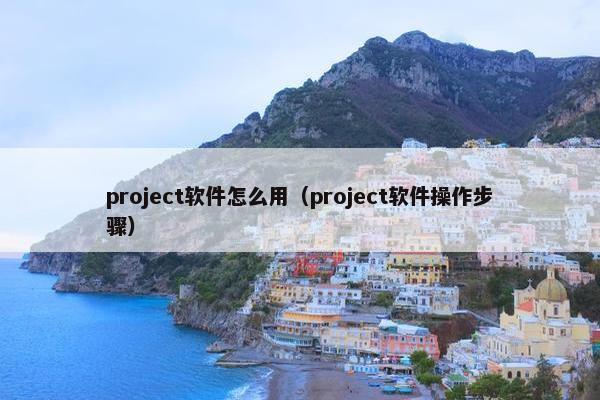 project软件怎么用（project软件操作步骤）