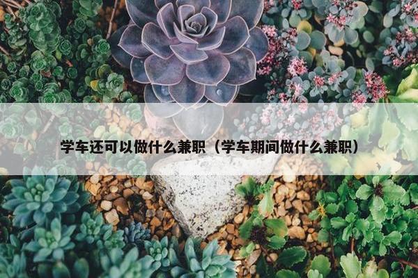 学车还可以做什么兼职（学车期间做什么兼职）