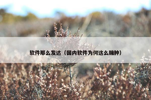 软件那么发达（国内软件为何这么臃肿）