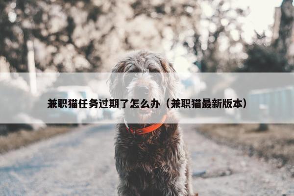 兼职猫任务过期了怎么办（兼职猫最新版本）