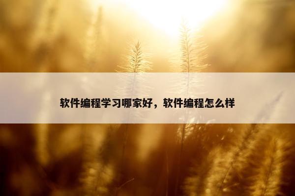 软件编程学习哪家好，软件编程怎么样