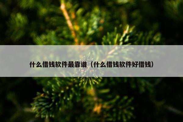 什么借钱软件最靠谱（什么借钱软件好借钱）