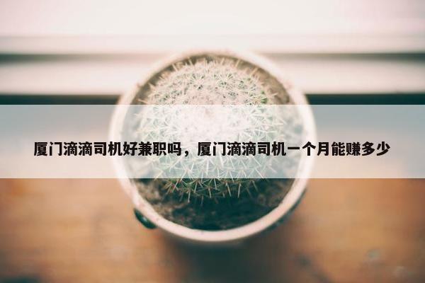 厦门滴滴司机好兼职吗，厦门滴滴司机一个月能赚多少