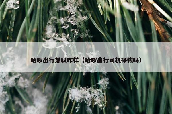 哈啰出行兼职咋样（哈啰出行司机挣钱吗）