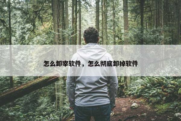 怎么卸宰软件，怎么彻底卸掉软件