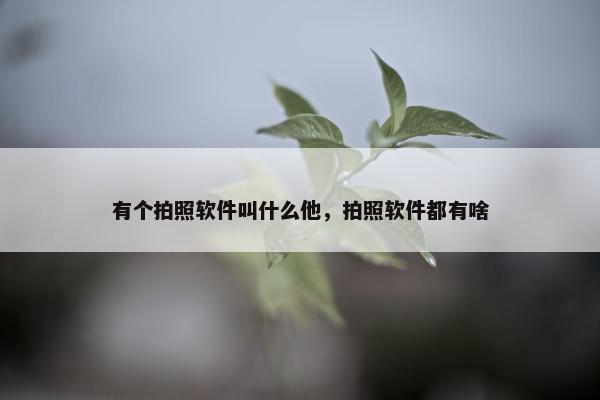 有个拍照软件叫什么他，拍照软件都有啥