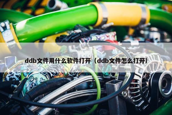 ddb文件用什么软件打开（ddb文件怎么打开）