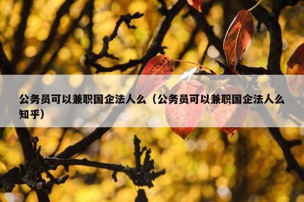 公务员可以兼职国企法人么（公务员可以兼职国企法人么知乎）