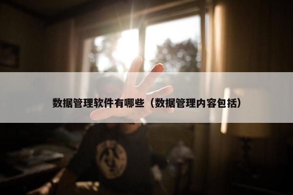 数据管理软件有哪些（数据管理内容包括）