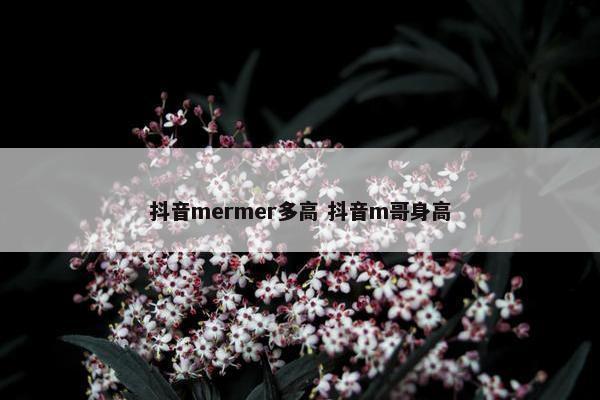 抖音mermer多高 抖音m哥身高